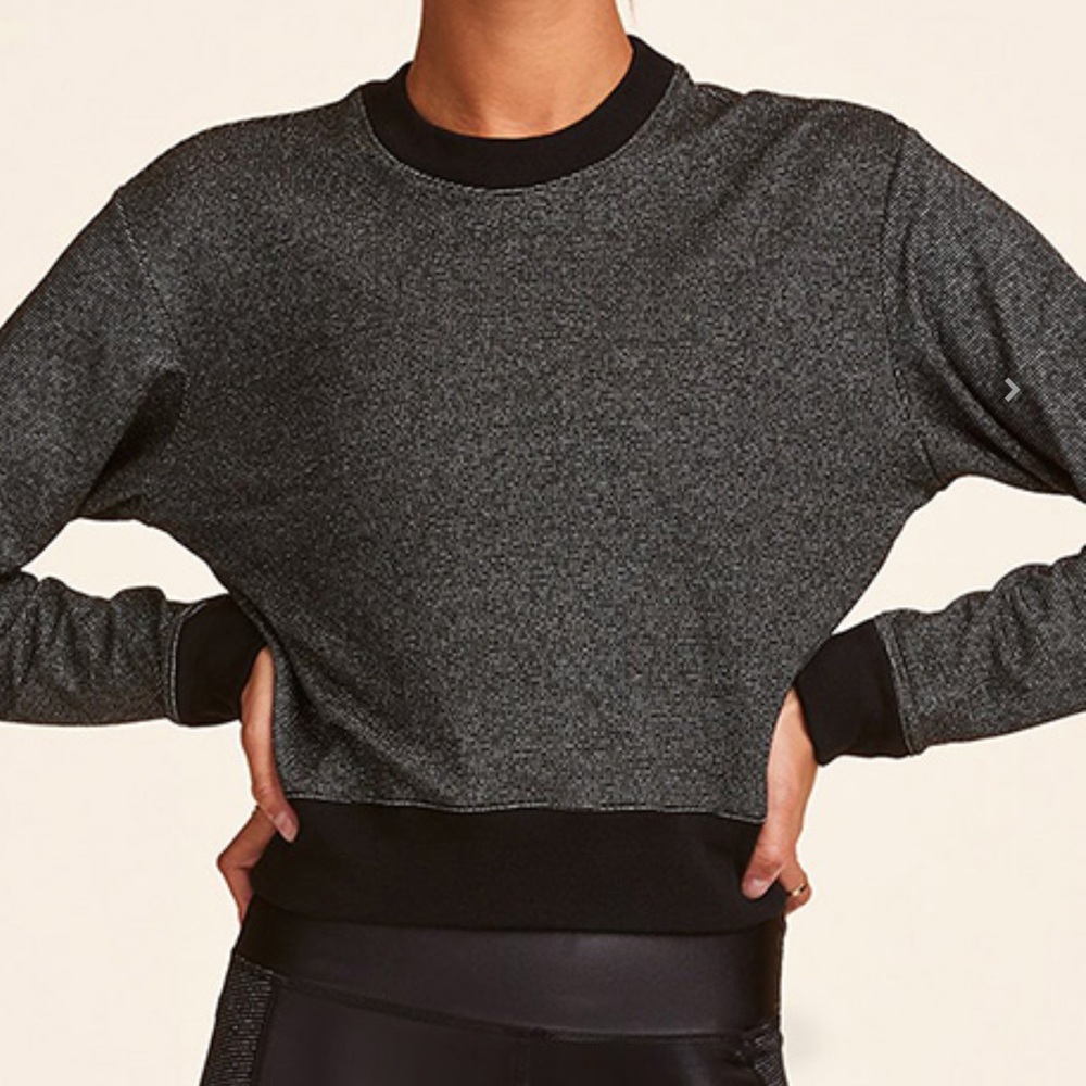 Alala cropped sparkle sweatshirt